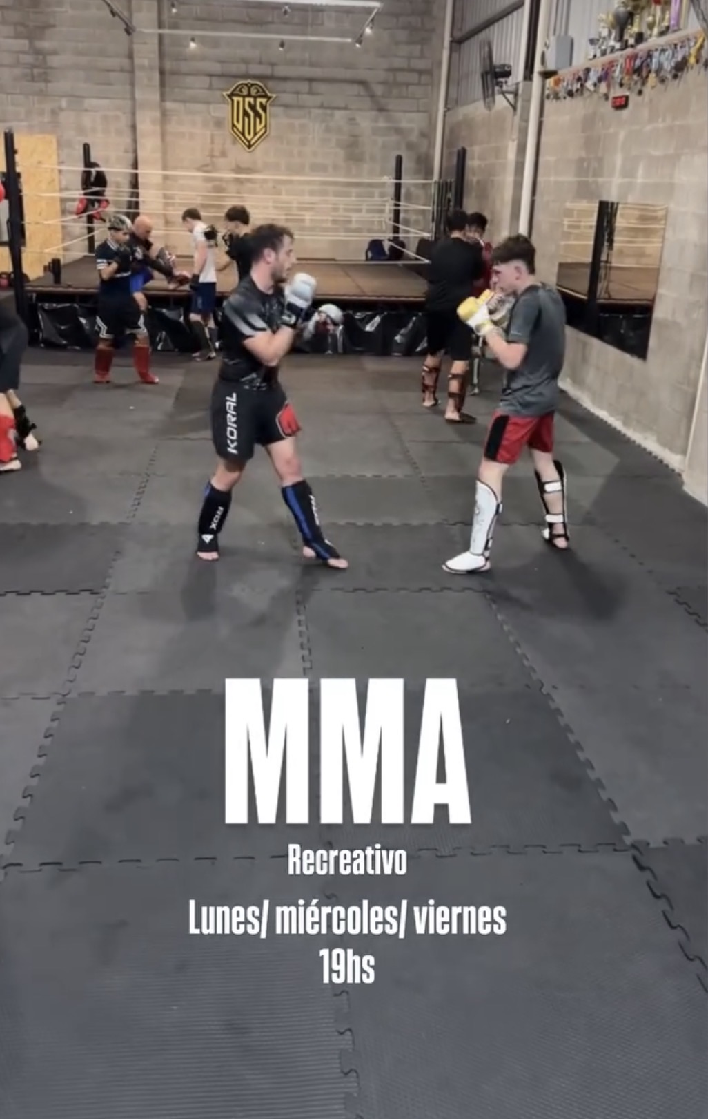 MMA
